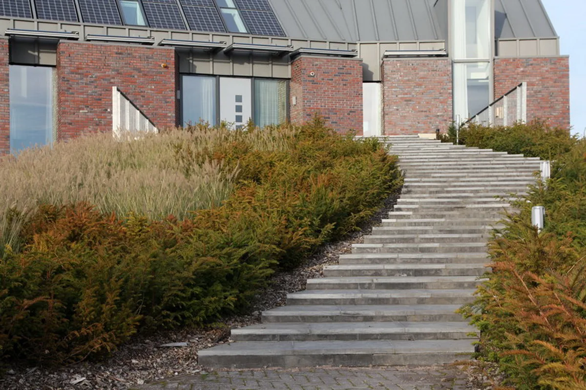 Groene randbeplanting vormt natuurlijke privacyzones om het woonensemble