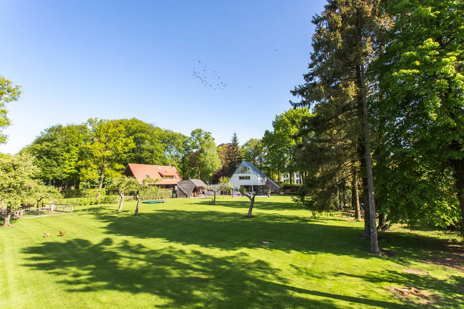 Compositie en schaal van de boerderij in relatie tot het omliggende landschap